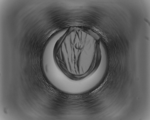 X0000097781313200804041205