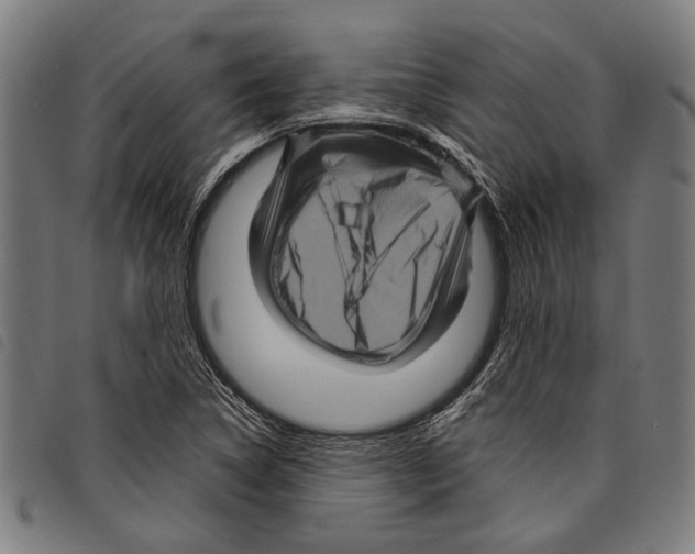 X0000097781314200804041205