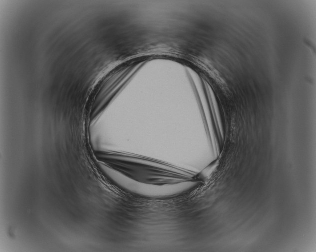 X0000097781316200804041205