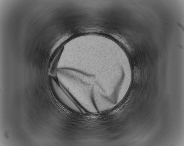 X0000097781317200804041205