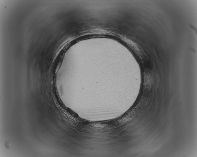 X0000097781318200804041205