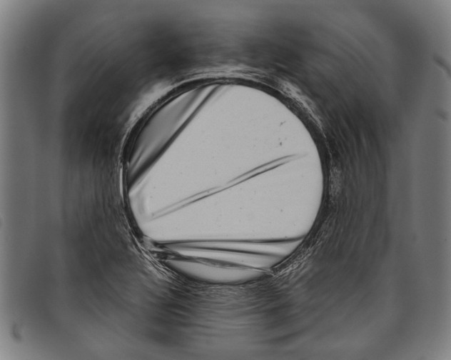 X0000097781320200804041205