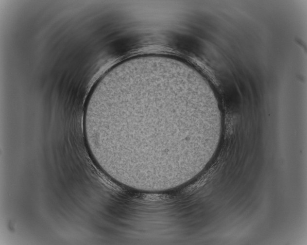 X0000097781322200804041205