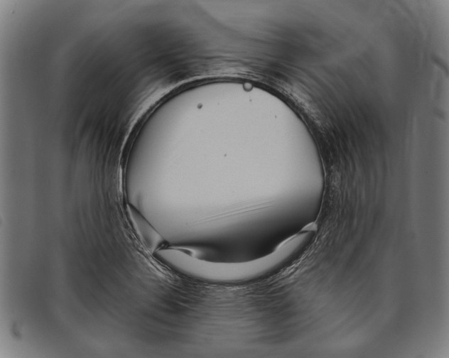 X0000097781324200804041206