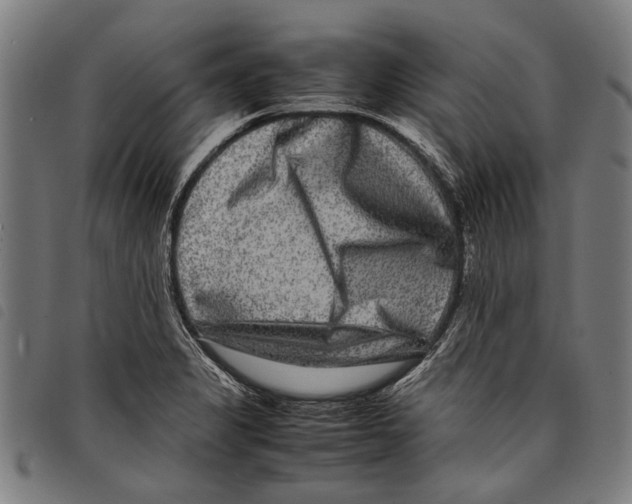 X0000097781325200804041206