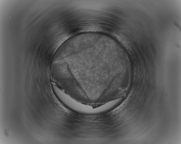 X0000097781329200804041206