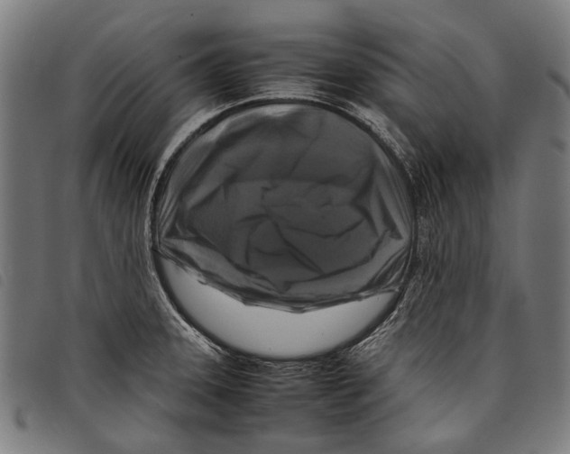 X0000097781331200804041206