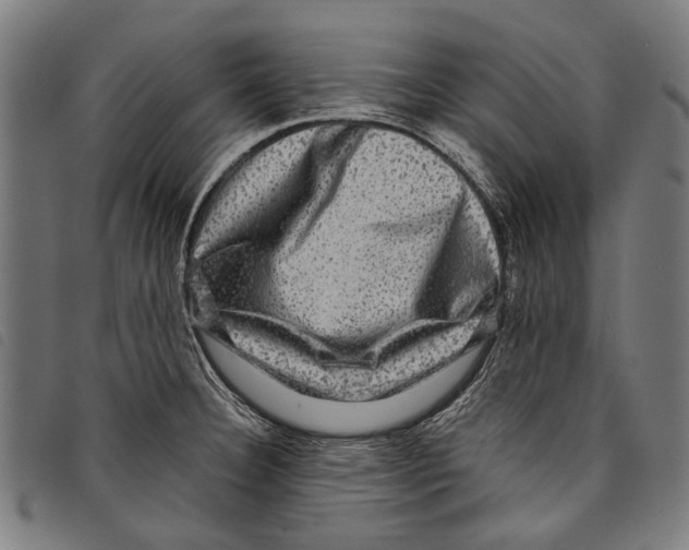 X0000097781332200804041206