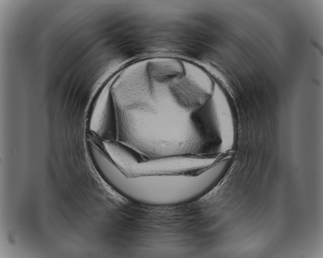 X0000097781333200804041206