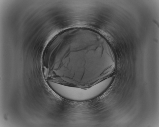 X0000097781334200804041206