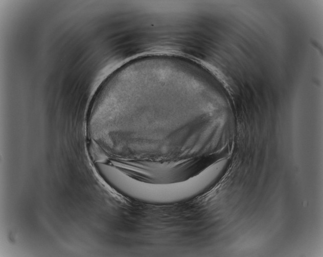 X0000097781335200804041206