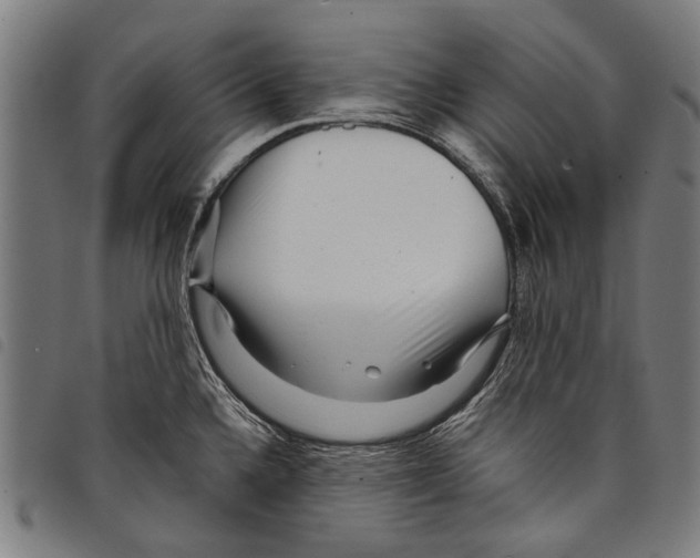 X0000097781336200804041206