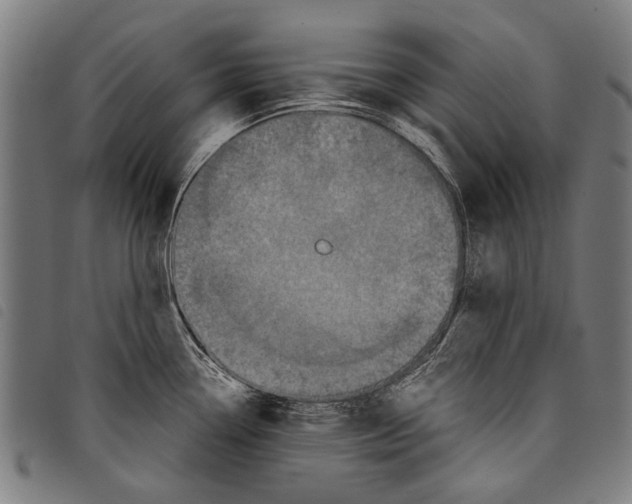 X0000097781338200804041206