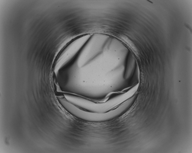 X0000097781340200804041206