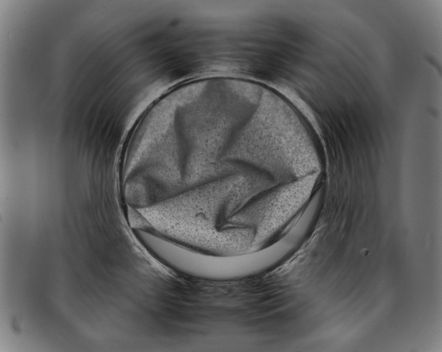 X0000097781341200804041206