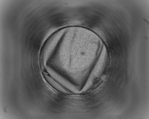 X0000097781342200804041206