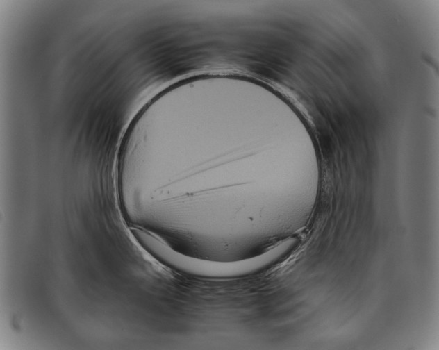 X0000097781343200804041206