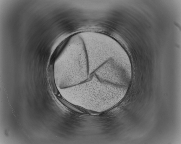 X0000097781344200804041206