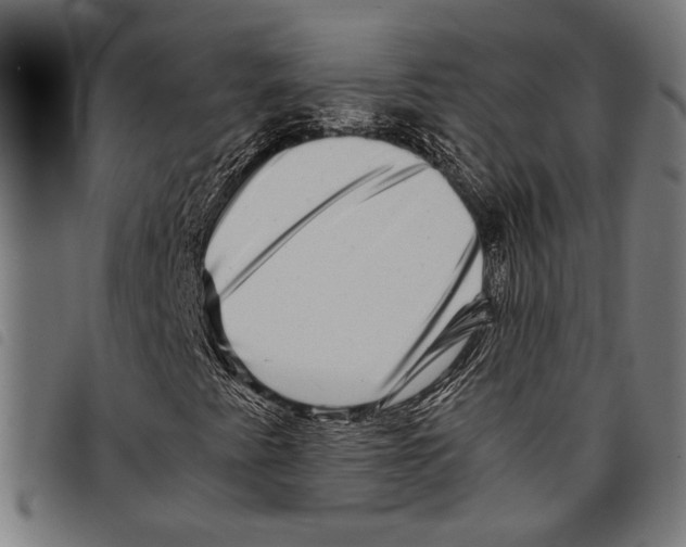 X0000097781345200804041205