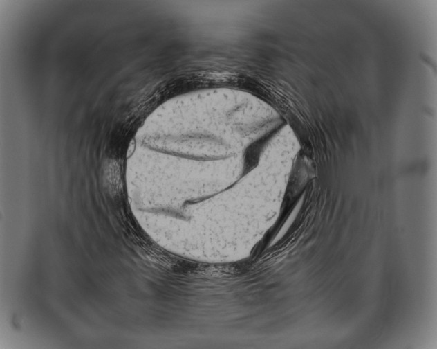 X0000097781347200804041205