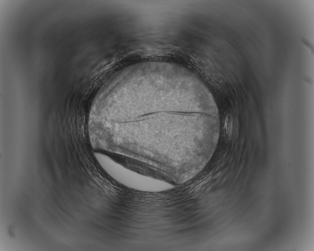 X0000097781348200804041205