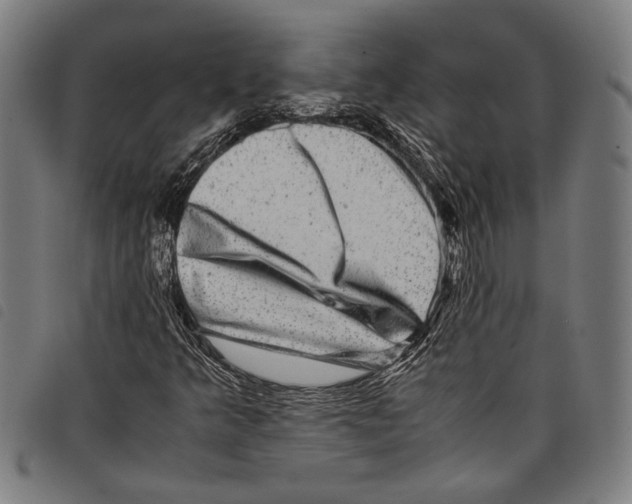 X0000097781349200804041205