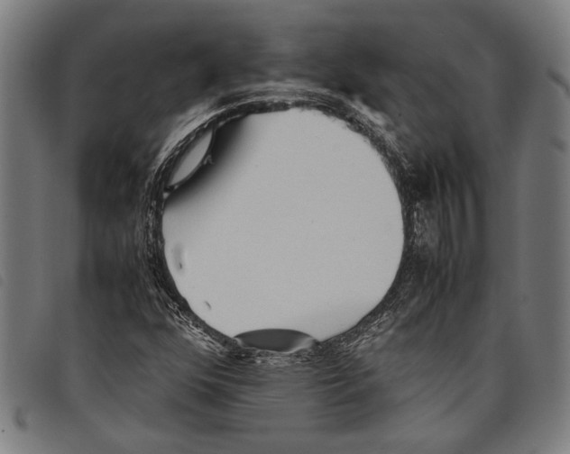 X0000097781352200804041205