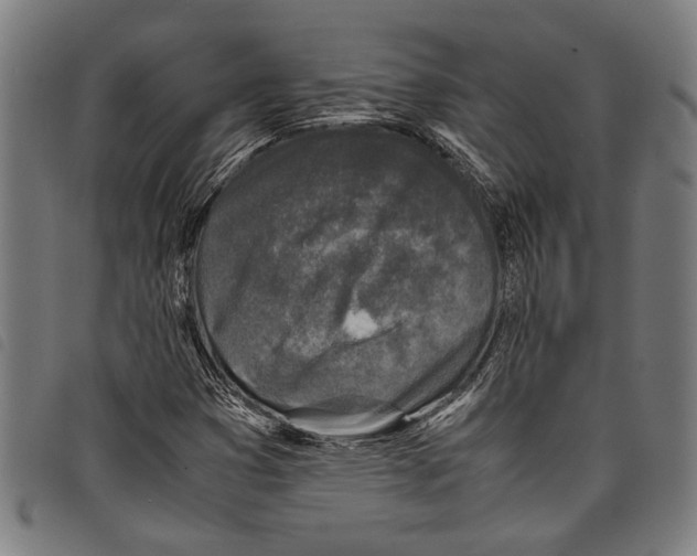 X0000097781353200804041205