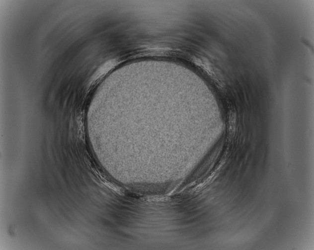 X0000097781354200804041205