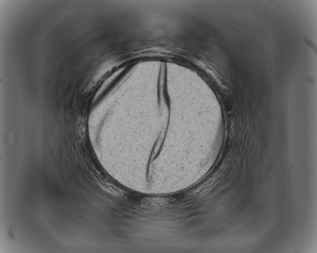 X0000097781355200804041205