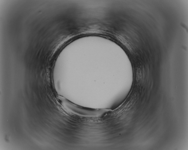 X0000097781356200804041205