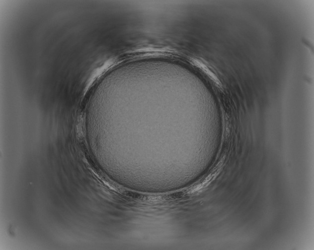 X0000097781357200804041205