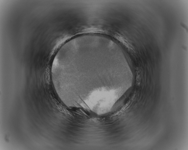 X0000097781358200804041205