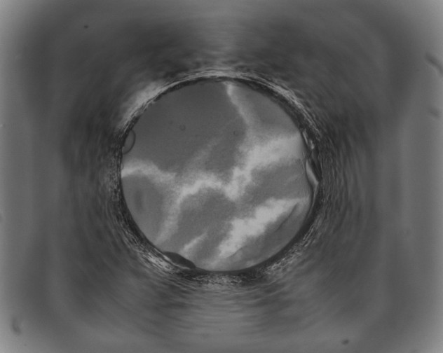 X0000097781359200804041205