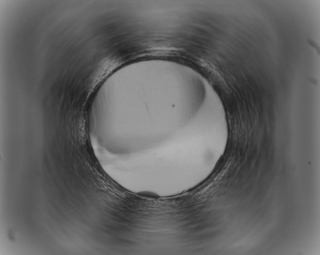 X0000097781362200804041205