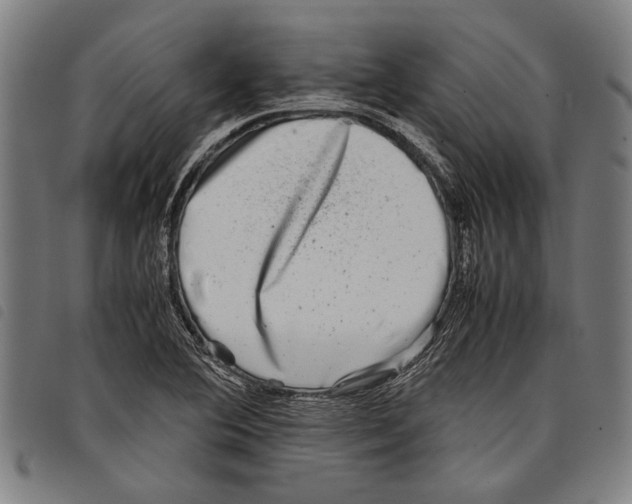 X0000097781364200804041205