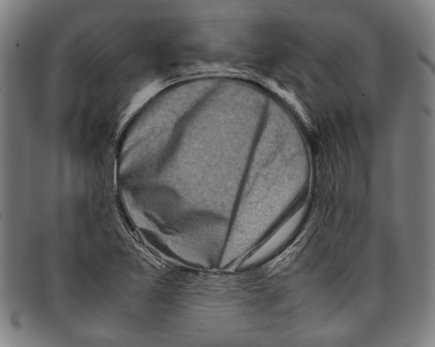 X0000097781365200804041205