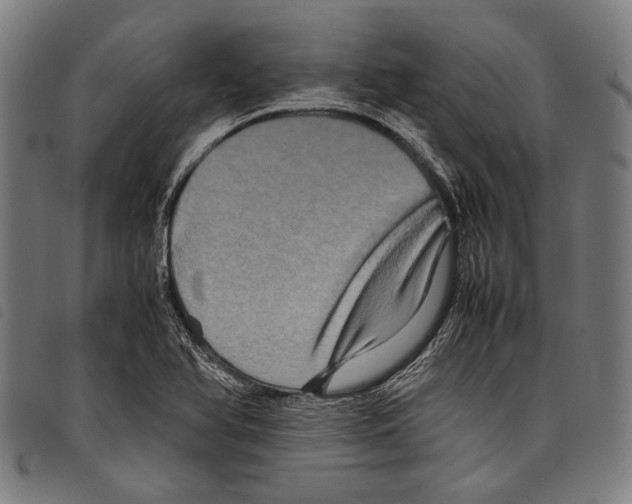 X0000097781366200804041205