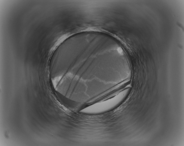 X0000097781367200804041205