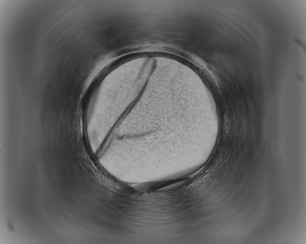 X0000097781368200804041205