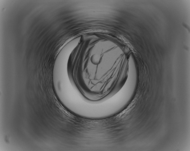 X0000097781369200804041205