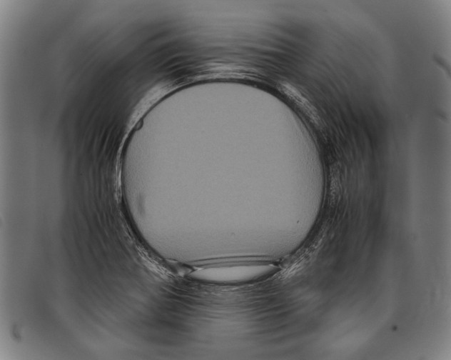 X0000097781370200804041205