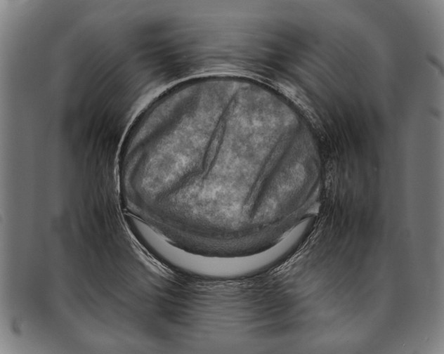 X0000097781372200804041205