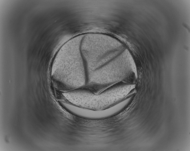 X0000097781375200804041205