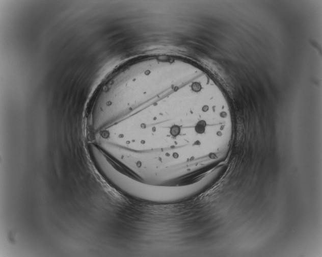 X0000097781376200804041205