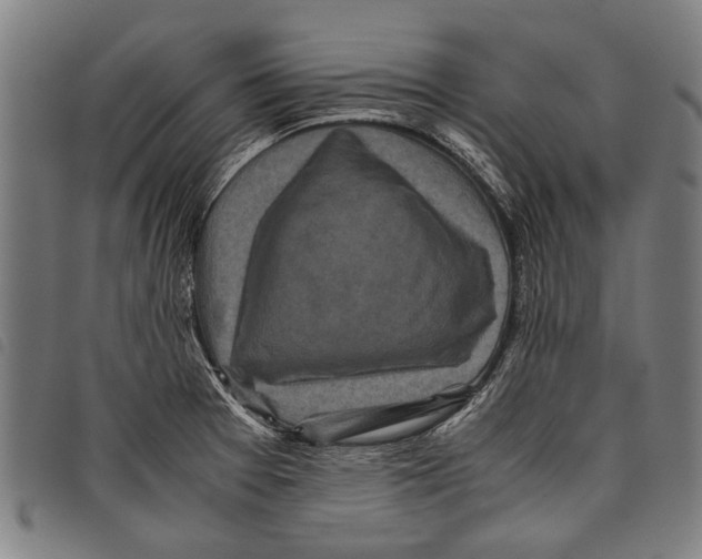 X0000097781377200804041205