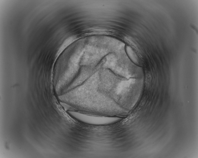 X0000097781378200804041205