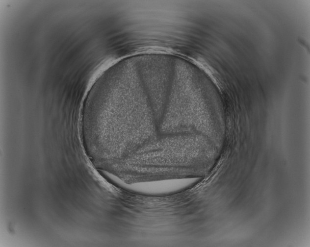 X0000097781379200804041205