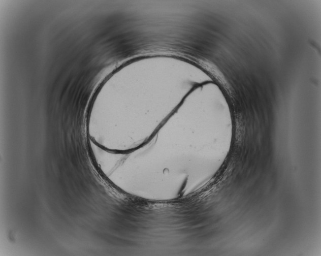 X0000097781380200804041205