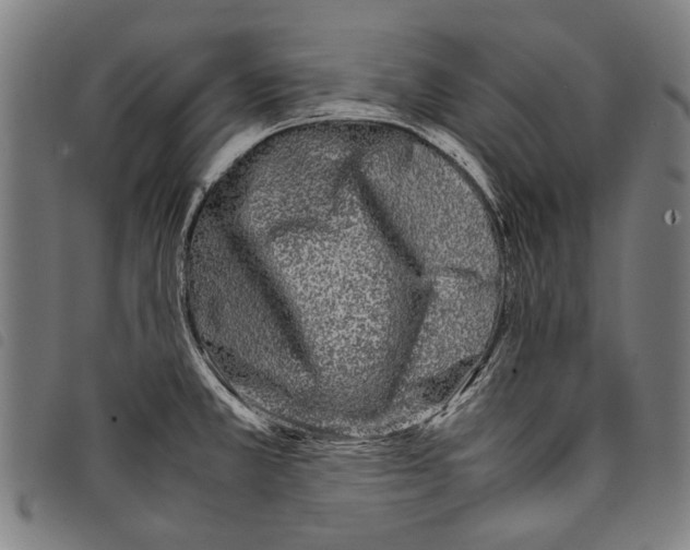 X0000097781381200804041205